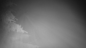 Letiště Třebíč - Pohled na východ - 17.12.2025 v 02:45