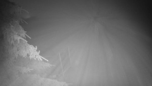 Letiště Třebíč - Pohled na východ - 17.12.2025 v 05:45