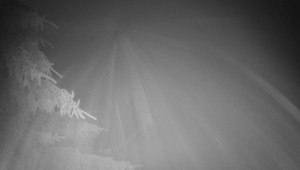 Letiště Třebíč - Pohled na východ - 17.12.2025 v 06:45