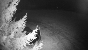 Letiště Třebíč - Pohled na východ - 23.2.2026 v 02:45