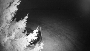 Letiště Třebíč - Pohled na východ - 23.2.2026 v 03:45