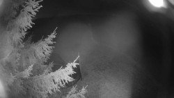 Pohled na východ