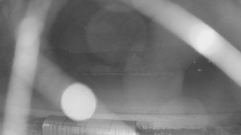 Snímek    20.10.2025 v 03:50