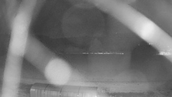 Snímek    20.10.2025 v 19:40
