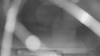 Snímek    20.10.2025 v 20:10