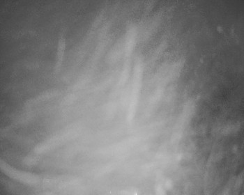 Snímek 16.11.2025 v 00:50