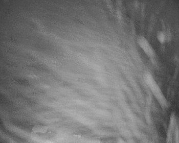 Fotbalový klub Bystřice pod...