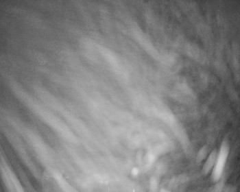 Fotbalový klub Bystřice pod...