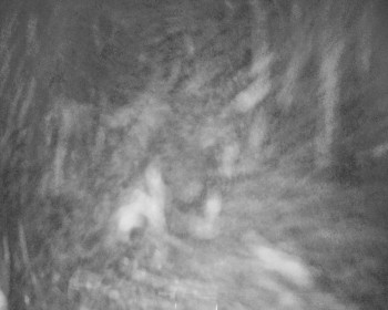 Fotbalový klub Bystřice pod...