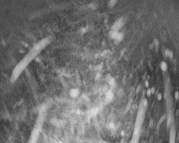 Fotbalový klub Bystřice pod...