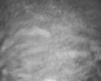 Fotbalový klub Bystřice pod...