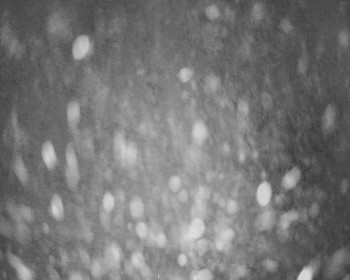 Fotbalový klub Bystřice pod...