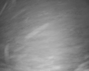 Fotbalový klub Bystřice pod...