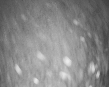 Fotbalový klub Bystřice pod...