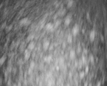 Fotbalový klub Bystřice pod...