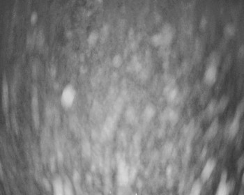 Fotbalový klub Bystřice pod...