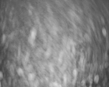 Fotbalový klub Bystřice pod...