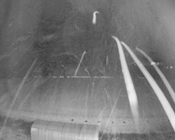 Fotbalový klub Bystřice pod...