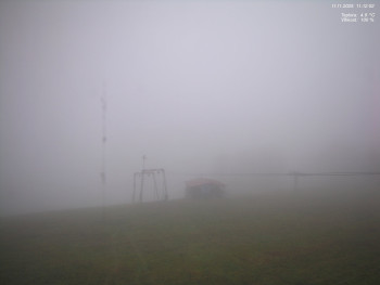 Snímek    11.11.2025 v 11:15