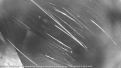 Pohled na jih, hrad Trosky