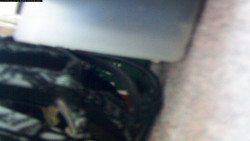 Pohled na jih, hrad Trosky