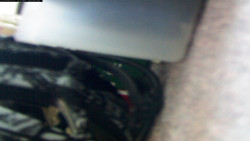 Pohled na jih, hrad Trosky