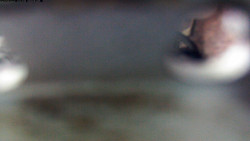 Pohled na jih, hrad Trosky