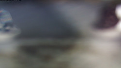 Pohled na jih, hrad Trosky