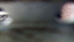 Pohled na jih, hrad Trosky