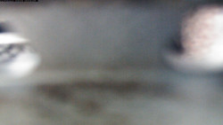 Pohled na jih, hrad Trosky