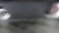 Pohled na jih, hrad Trosky