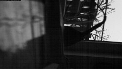 Pohled na jih, hrad Trosky