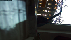 Pohled na jih, hrad Trosky