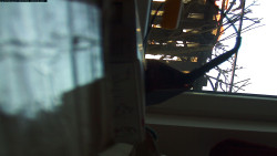 Pohled na jih, hrad Trosky