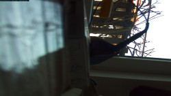 Pohled na jih, hrad Trosky