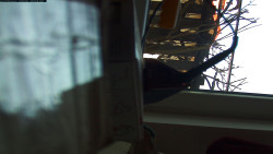 Pohled na jih, hrad Trosky