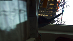 Pohled na jih, hrad Trosky