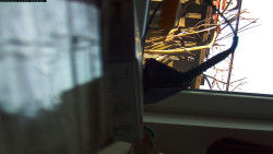 Pohled na jih, hrad Trosky