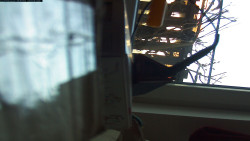 Pohled na jih, hrad Trosky