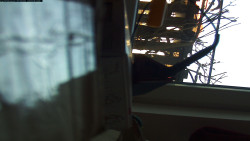 Pohled na jih, hrad Trosky