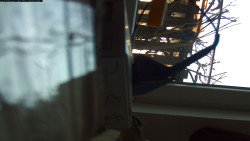 Pohled na jih, hrad Trosky