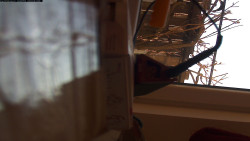 Pohled na jih, hrad Trosky