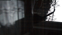 Pohled na jih, hrad Trosky