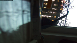 Pohled na jih, hrad Trosky