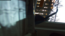 Pohled na jih, hrad Trosky