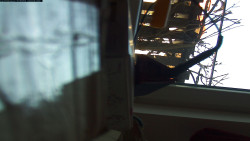 Pohled na jih, hrad Trosky