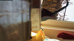 Pohled na jih, hrad Trosky