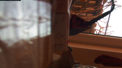 Pohled na jih, hrad Trosky