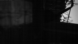 Pohled na jih, hrad Trosky