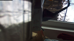 Pohled na jih, hrad Trosky